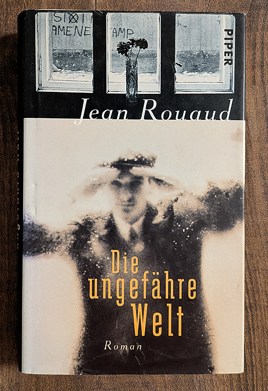 Die ungefähre Welt