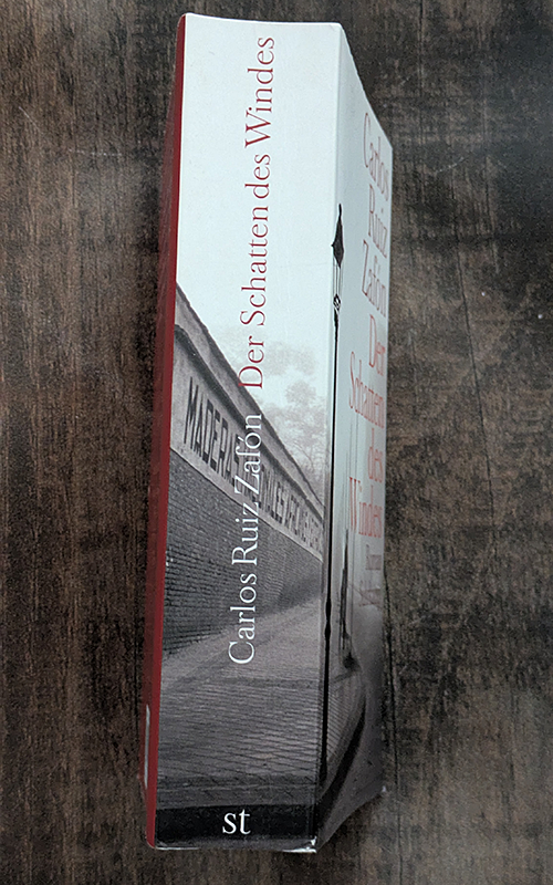 Der Schatten des Windes