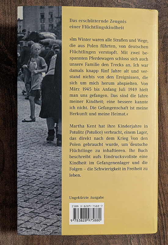 Eine Porzellanscherbe im Graben
